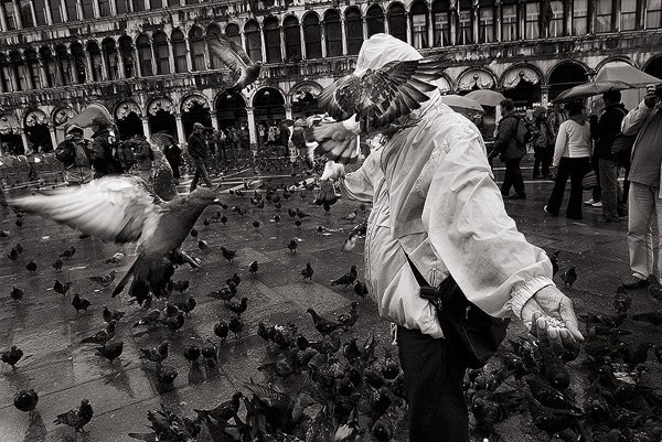 Venezia, 2005