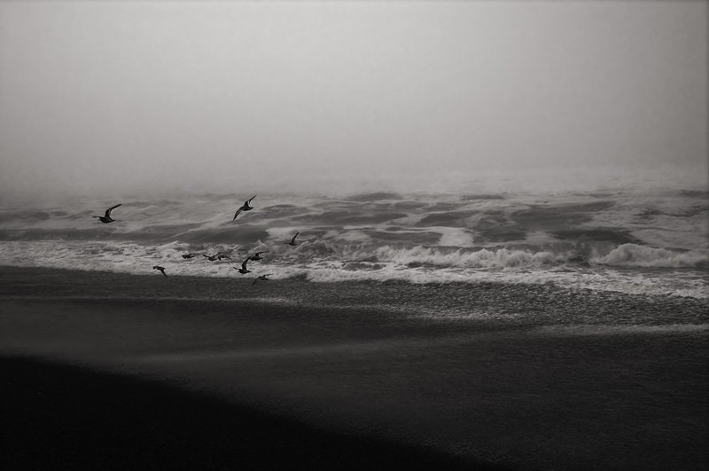 Oregon Coast, 2005