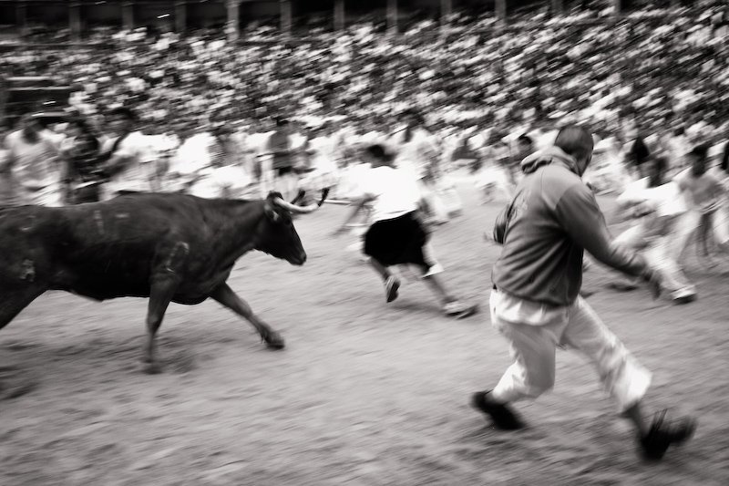 Pamplona, 2007