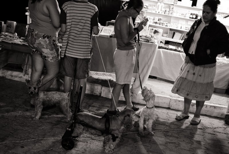 Barra de Navidad, 2008