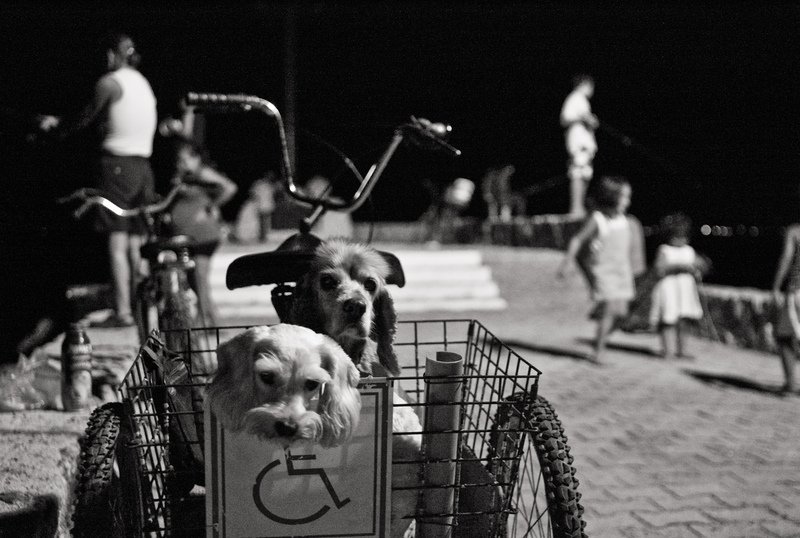 Barra de Navidad, 2009