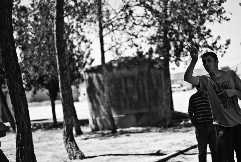 Madrigal de las Altas Torres, 2010