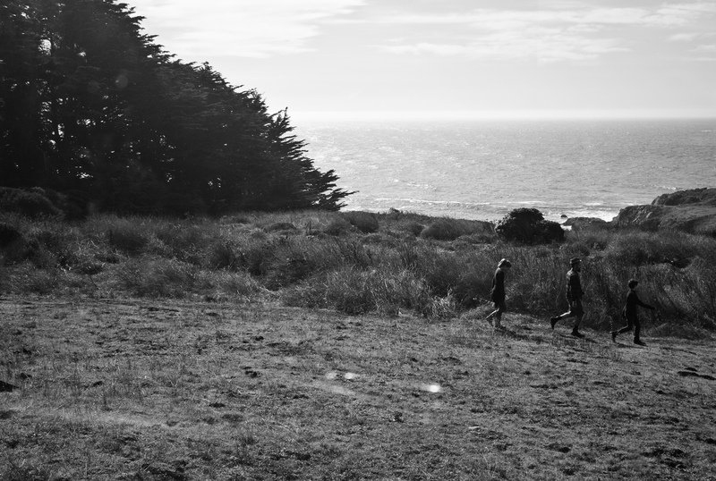Sea Ranch, 2010