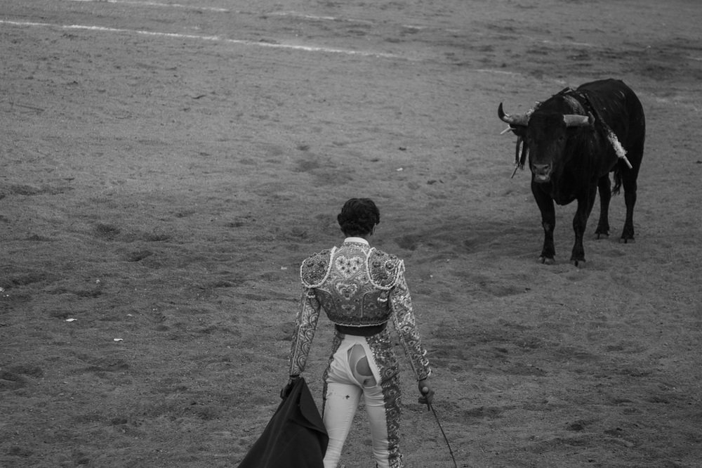 Seven months in Mexico, 2013