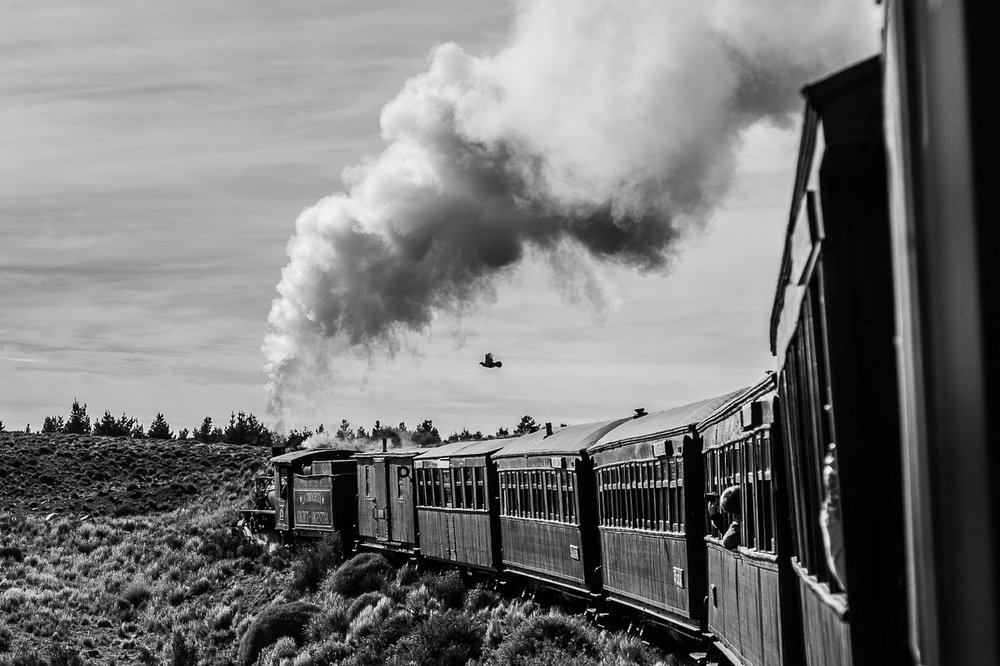 On the train in Chubut, 2014