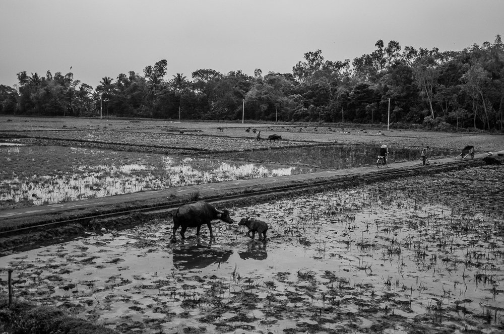 On the road in Vietnam, 2011