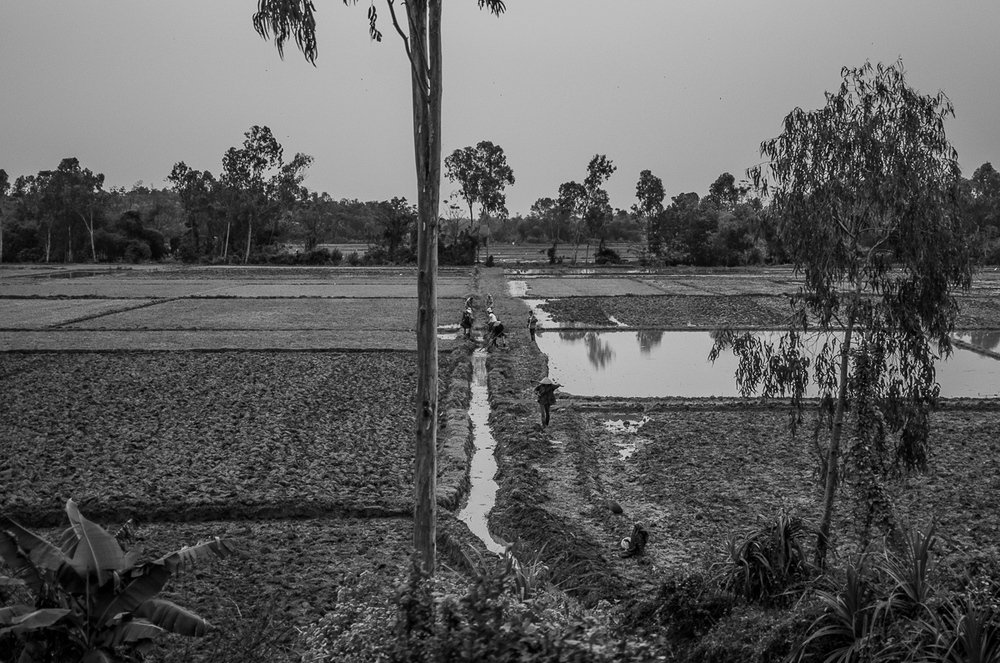 On the Road in Vietnam, 2011