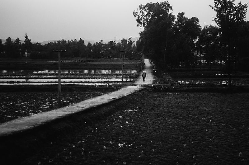 On the train in Vietnam