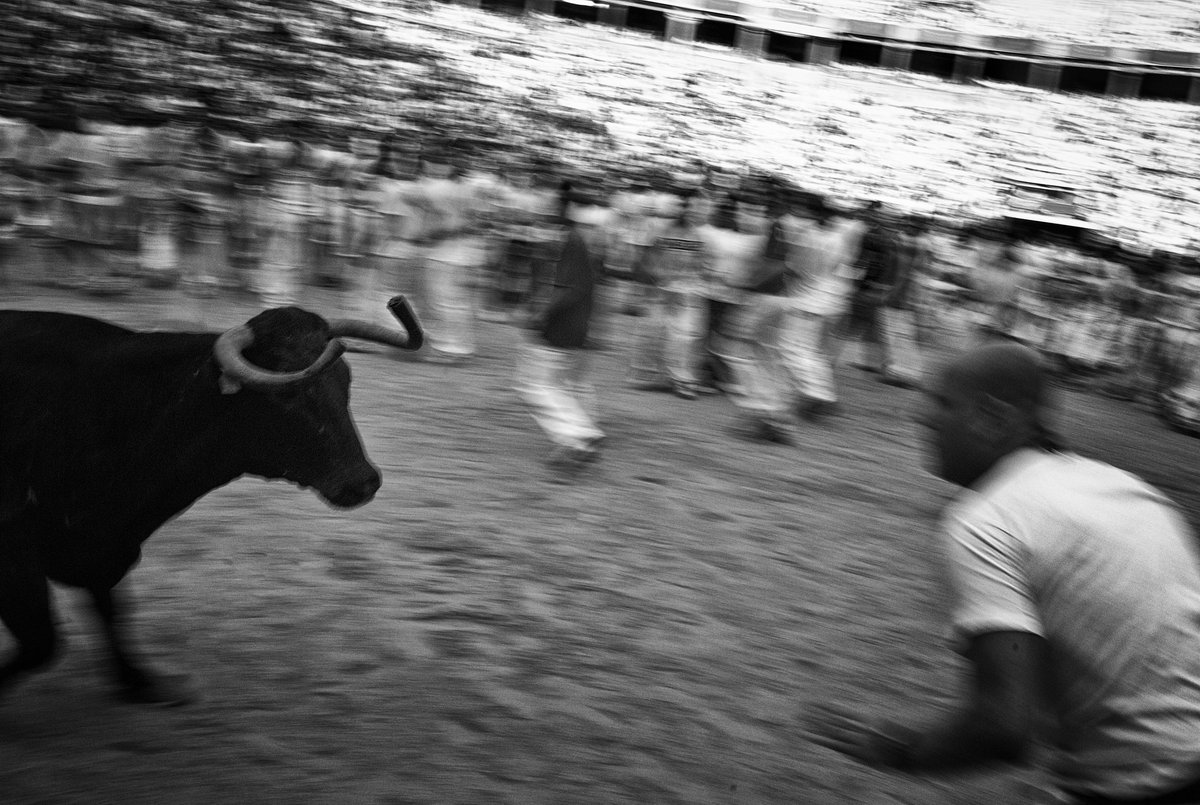 Pamplona, 2008