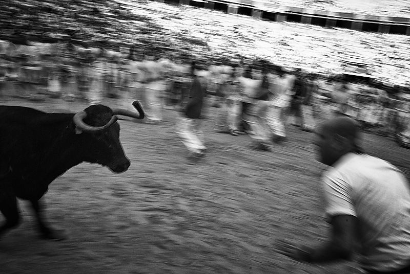 Pamplona