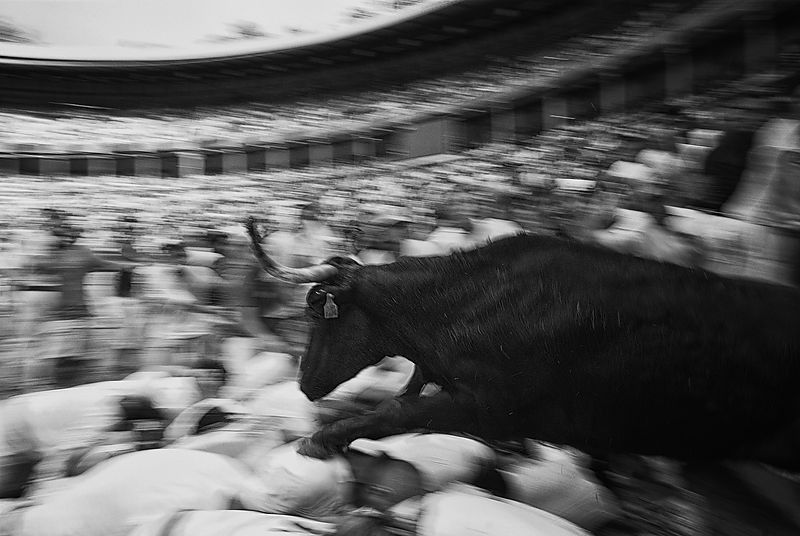 Pamplona