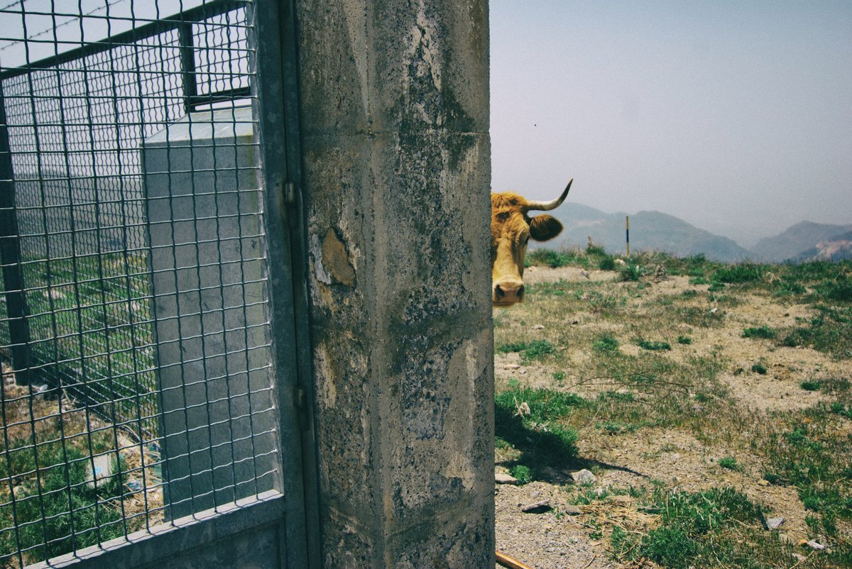 South of Spain, 2008, 2025