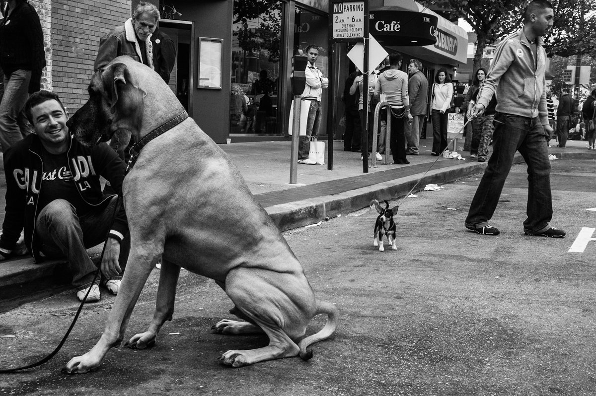 San Francisco, 2006, 2025