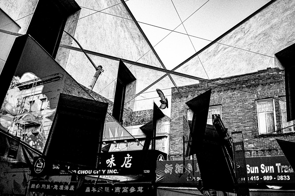 San Francisco, 2010, 2025